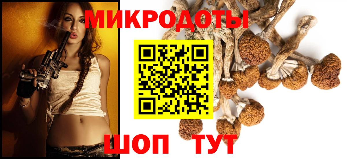 Псилоцибиновые грибы Cubensis Приморско-Ахтарск