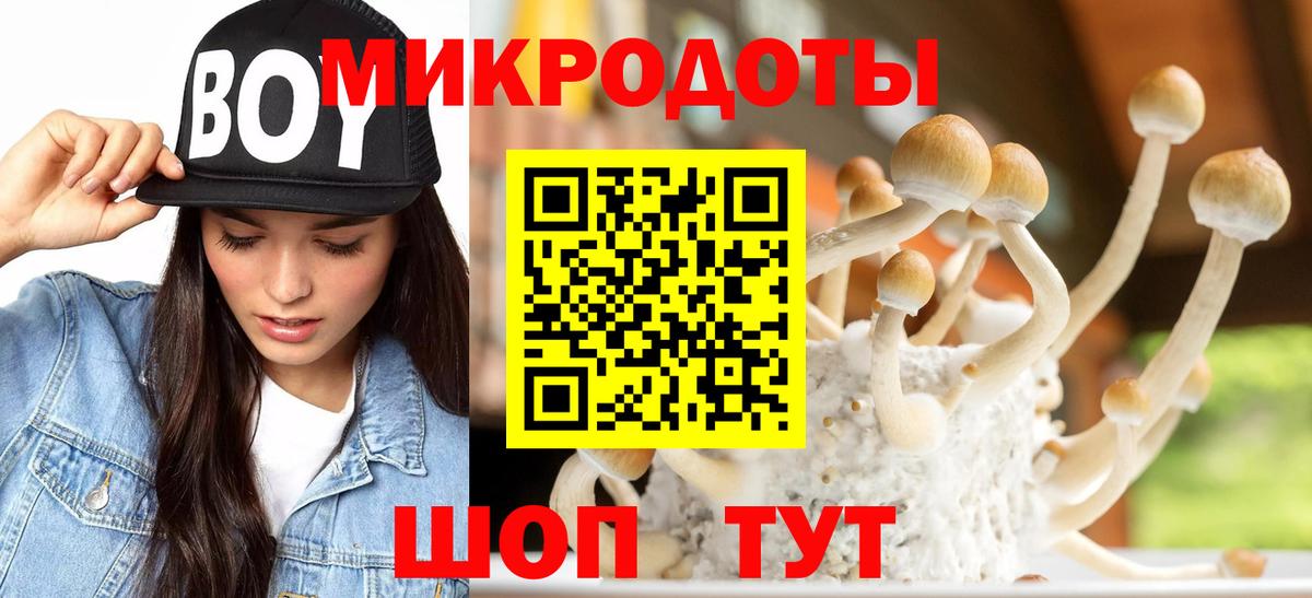 Приморско-Ахтарск  Псилоцибиновые грибы Psilocybine cubensis  Вход с VPN  Псилоцибиновые грибы Cubensis 